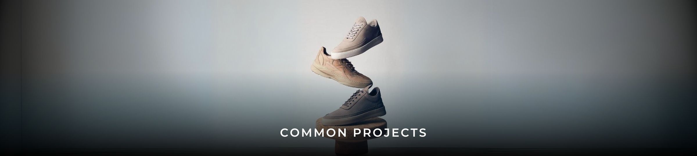 COMMON PROJECTS